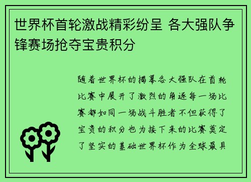 世界杯首轮激战精彩纷呈 各大强队争锋赛场抢夺宝贵积分 世界杯首轮激战精彩纷呈 各大强队争锋赛场抢夺宝贵积分